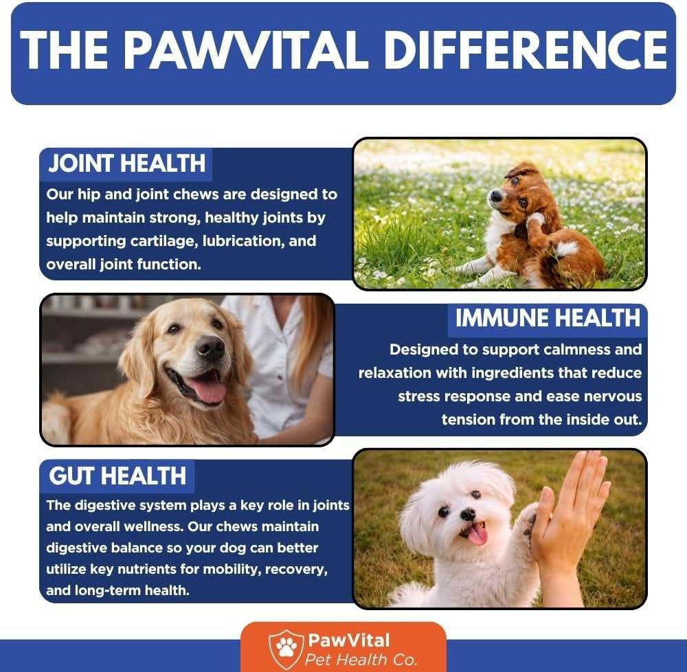 Hip and Joint Supplement for Dogs – Glucosamine Chondroitin MSM Chews for Dogs with Eggshell Membrane & Omega-3 – Joint Pain Relief & Mobility Support for Senior Dogs – 200 Chicken Flavored Soft Chews