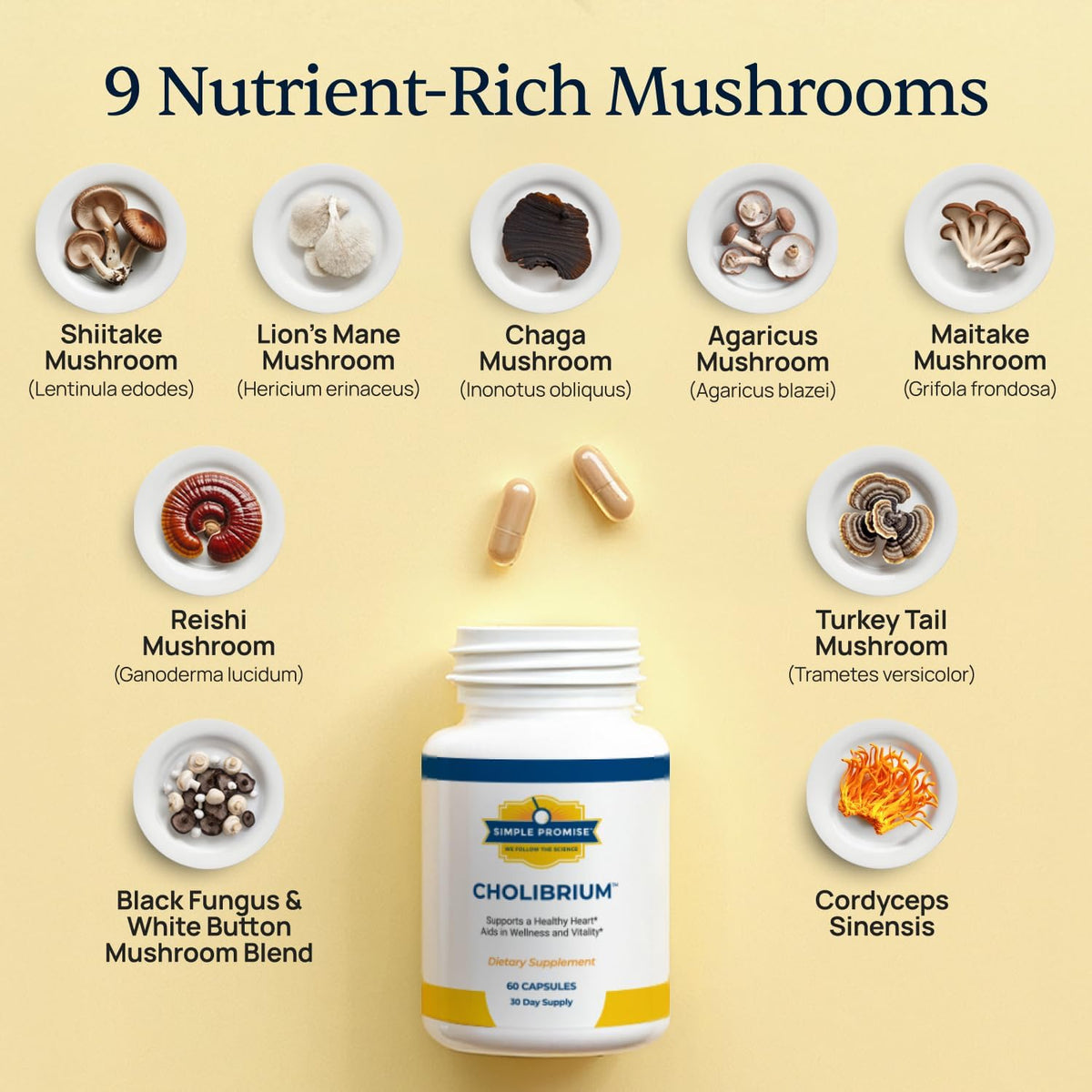 Cholibrium - 9-in-1 Mushroom Complex for Immunity - Lion's Mane and Reishi | 9-Mushroom Complex, Immune and Focus Support, Cordyceps and Shiitake, Simple 2-Capsule Routine, Vegan, 1,330mg