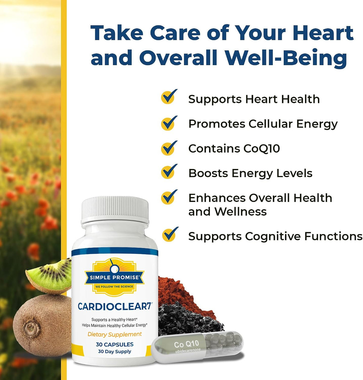 Cholibrium and CardioClear7 Bundle - Daily Energy - Mushroom Complex, CoQ10 | Mushroom-CoQ10 Pair, For Steady Daily Vitality, With Cordyceps and Shilajit, Three Capsules Daily, 30 Day Supply, Vegan