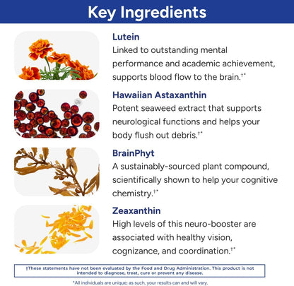 Gundry MD® Power Phenols Brain Health & Energy Supplement, 30 Servings | Cognitive Support, Focus & Productivity Enhancement, Energy Boost, Sugar & Artificial Sweetener Free, With Astaxanthin
