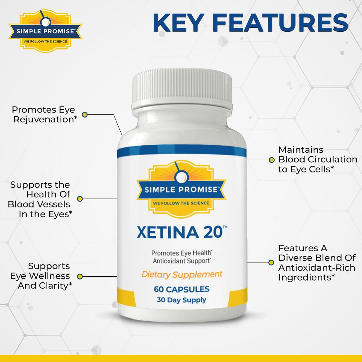 Xetina 20 - Lutein and Zeaxanthin Eye Vitamins - Adults and Seniors Care | Eye Nutrient Complex, Daily Vision Support, Bilberry and Grape Seed, Simple Once-Daily Routine, Non-GMO