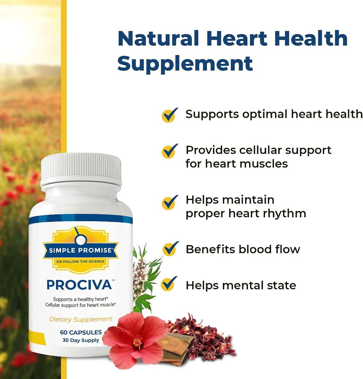 Prociva - Arjuna Bark Extract Supplement - Healthy Blood Pressure Support | Ayurvedic Heart Formula, Circulation and Rhythm Support, Folic Acid and Magnesium, Simple Once-Daily Routine, Non-GMO