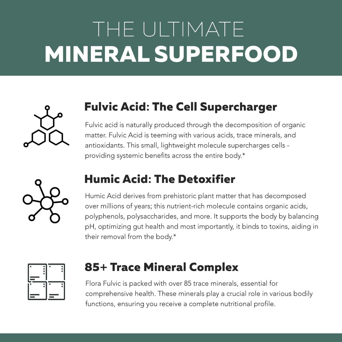 Flora Fulvic | Fulvic Acid + Humic Acid Complex – 550 mg |Mined in Utah, Prehistoric Deep Earth Extract | Immunity, Gut, Digestion – Natural Trace Mineral Complex, Fulvic Acid Supplement – 60 Capsules