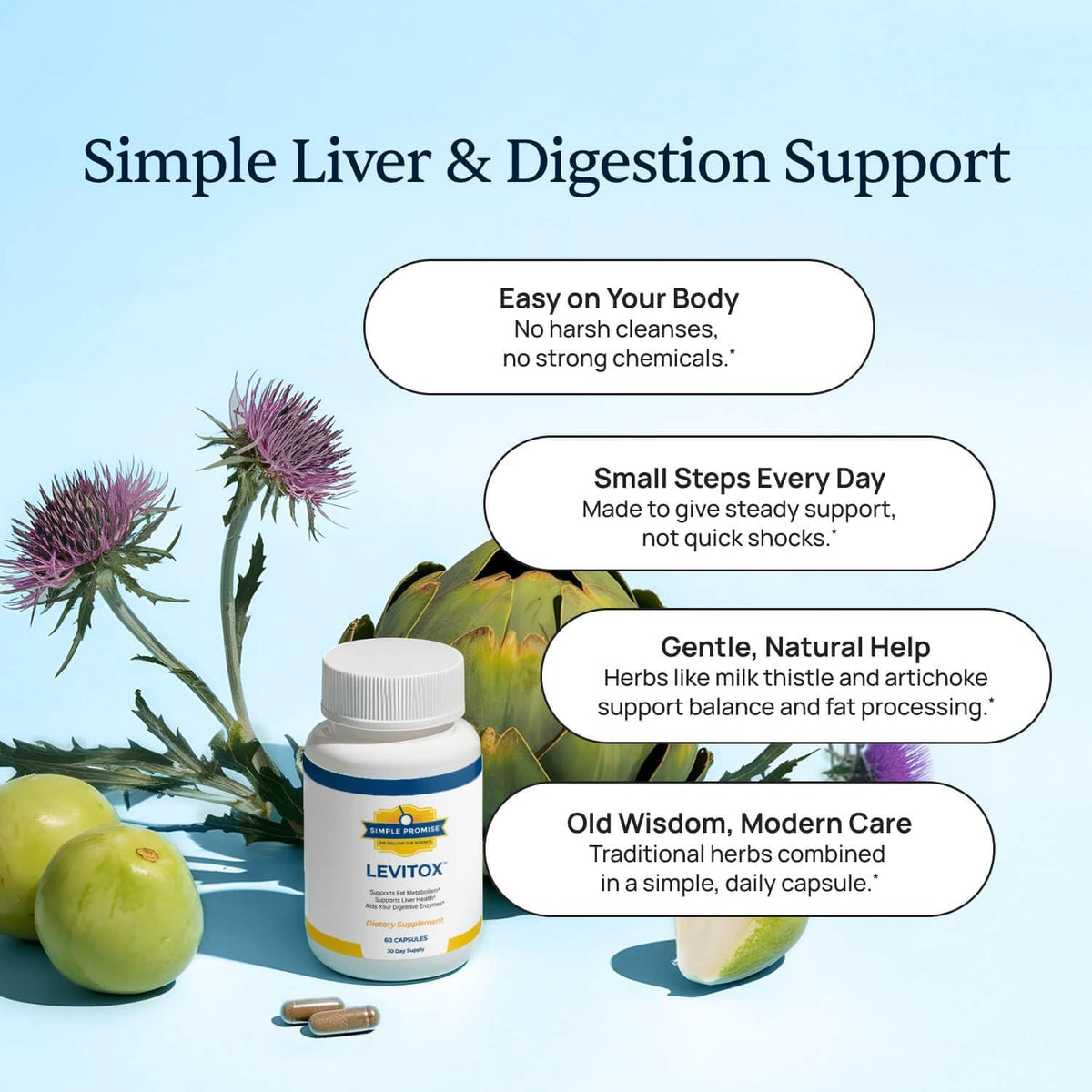 Levitox - Milk Thistle Liver Support with Dandelion Root - Women and Men | Milk Thistle Extract, Liver Health Support, Dandelion and Artichoke, Simple Once-Daily Routine, Non-GMO