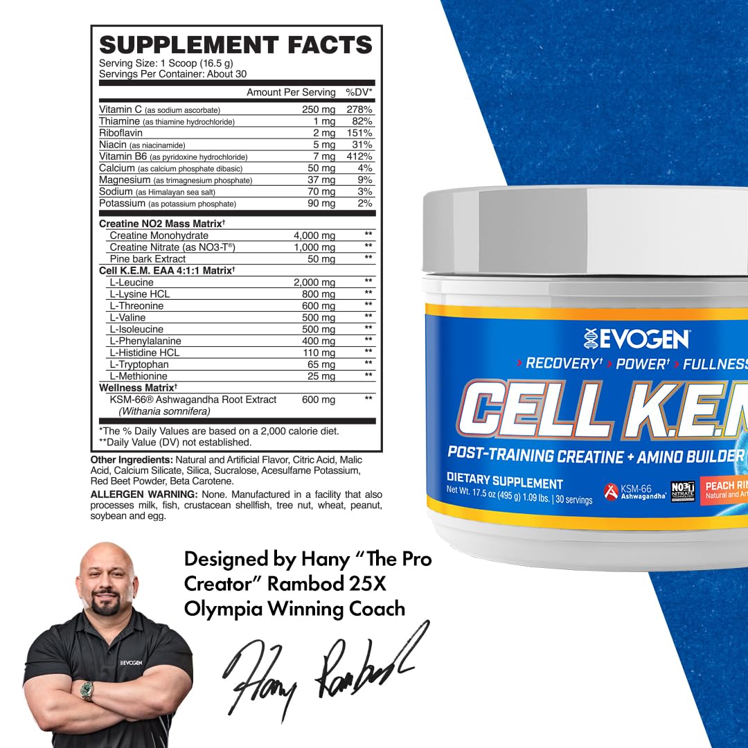 Evogen Cell K.E.M. PR Creatine | Raspberry Lemonade | 30 Servings | 4:1:1 BCAA ratio with added EAAs, NO3-T nitrate and KSM-66 ashwagandha for blood flow, recovery and muscle fullness