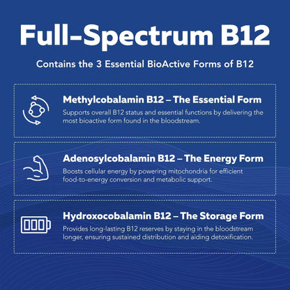 BioActive Vitamin B Complex - Blood Stream Ready, Methylated B Complex - Featuring Methylfolate, 3 BioActive Forms of B12, BenfoPure® B1 & Pantesin® B5 - 12 B Vitamins in Clinical Doses - 60 Servings