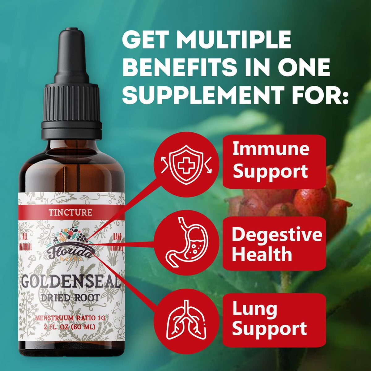 Goldenseal Tincture 2 oz – Organic Herbal Extract | Alcohol Free | Vegan Herbal Drops - Made in USA
