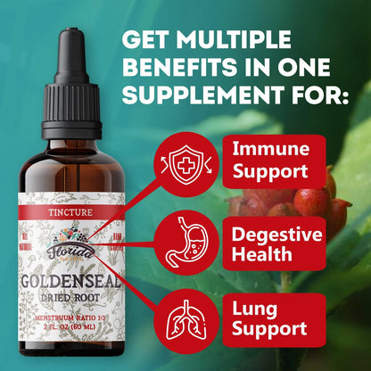 Goldenseal Tincture 2 oz – Organic Herbal Extract | Alcohol Free | Vegan Herbal Drops - Made in USA