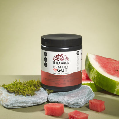 TERRA ORIGIN Healthy Gut Powder (Berry Flavor) |30-Servings with L-Glutamine, Zinc, Glucosamine, Slippery Elm Bark, Marshmallow Root and More!