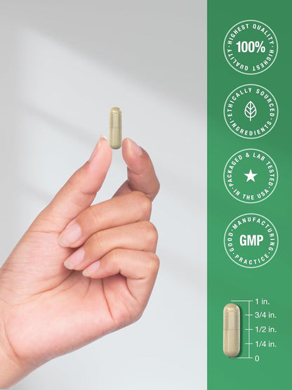 Horbäach Maca Root Capsules for Men and Women | 120 Pills | High Potency Extract | Non-GMO and Gluten Free Formula