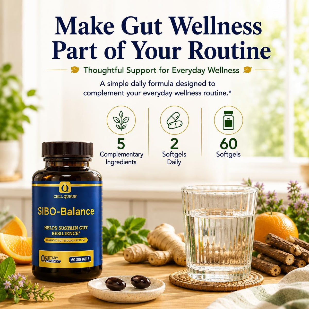 SIBO-Balance Gut Health Supplement with Dihydroberberine 60 Softgels | with Oregano Oil, Ginger, GutGard® Licorice & MicrobiomeX® Citrus | Supports Gut Microbial Balance, Digestive Health