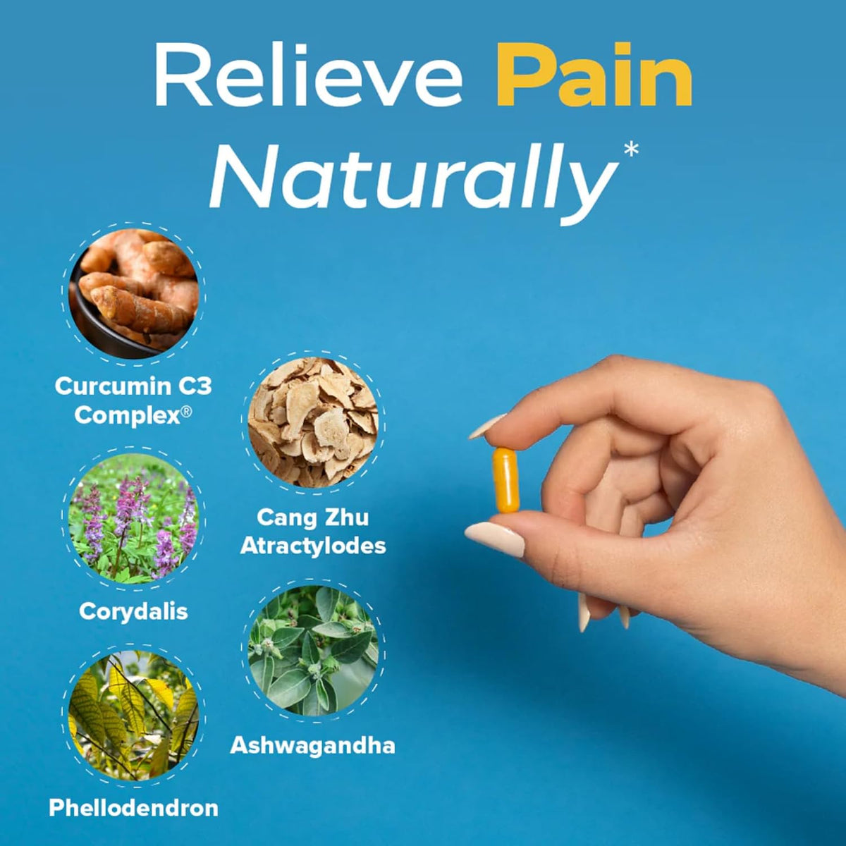 Redd Remedies, Curcumin T4, Advanced Turmeric Formula, 60 Vegan Capsules