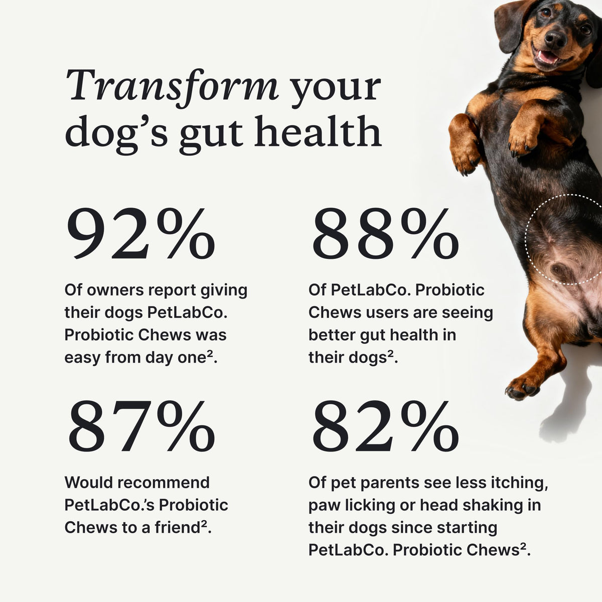 PetLab Co. Probiotic Chews for Dogs, 30 Soft Chews, Salmon | 8-strain probiotic blend with prebiotics to support digestive health, skin and seasonal allergy support