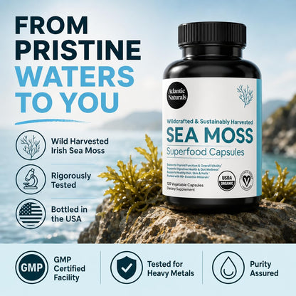 Superfood Organic Irish Sea Moss Capsules - 120 Veggie Capsules | Wildcrafted Organic Sea Moss Supplement for Men & Women | Better Than Sea Moss Gel | Support Immunity & Skin, 1000mg