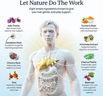 Levitox - Milk Thistle Liver Support with Dandelion Root - Women and Men | Milk Thistle Extract, Liver Health Support, Dandelion and Artichoke, Simple Once-Daily Routine, Non-GMO