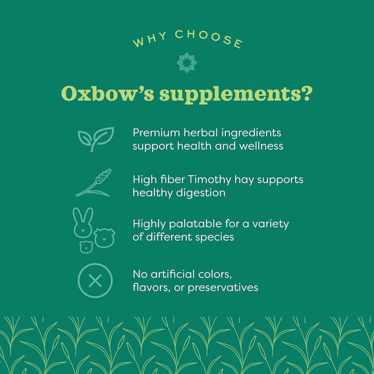 Oxbow Natural Science Joint Supplement for Rabbits & Guinea Pigs, 4.2 oz | Healthy Cat Treats, Natural Feline Snacks, Protein Rich, Crunchy Biscuits, Indoor Cats, Kitten Rewards, Made in USA