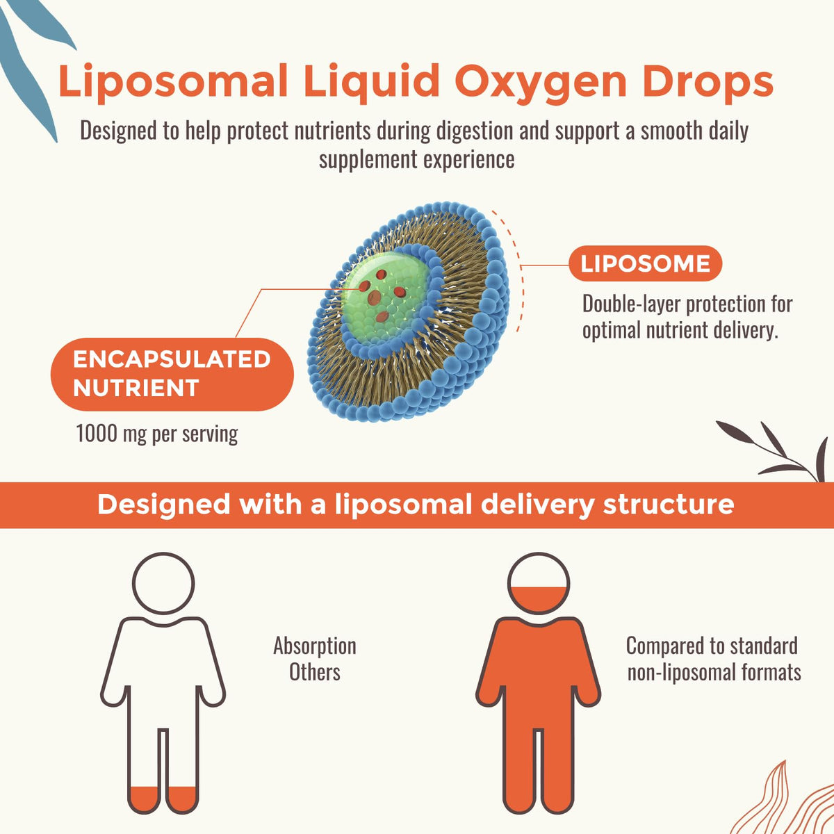 Liposomal Liquid Oxygen Drops, Oxygen & Nutrient Complex, High Absorption | Oxygen Boost Supplement with Trace Minerals, Fulvic Acid, CoQ10, Glutathione, Energy, Antioxidant, Altitude Support, 2 fl oz