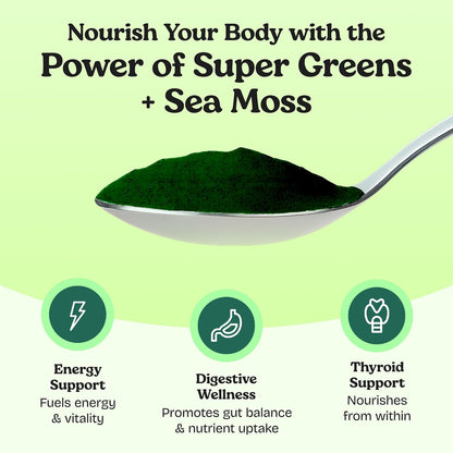 Atlantic Naturals Sea Moss Super Greens Powder – Organic Green Superfood Drink Mix with Fruits, Veggies & Probiotics – Energy, Digestion & Immune Support – 5000mg, Mixed Flavor