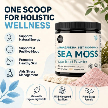 Atlantic Naturals Organic Sea Moss Powder with Beet Root Powder, Ashwagandha & Maca Root – Superfood Reds & Adaptogen Blend for Energy, Mood & Skin – Vanilla Flavor Drink Mix (150g)