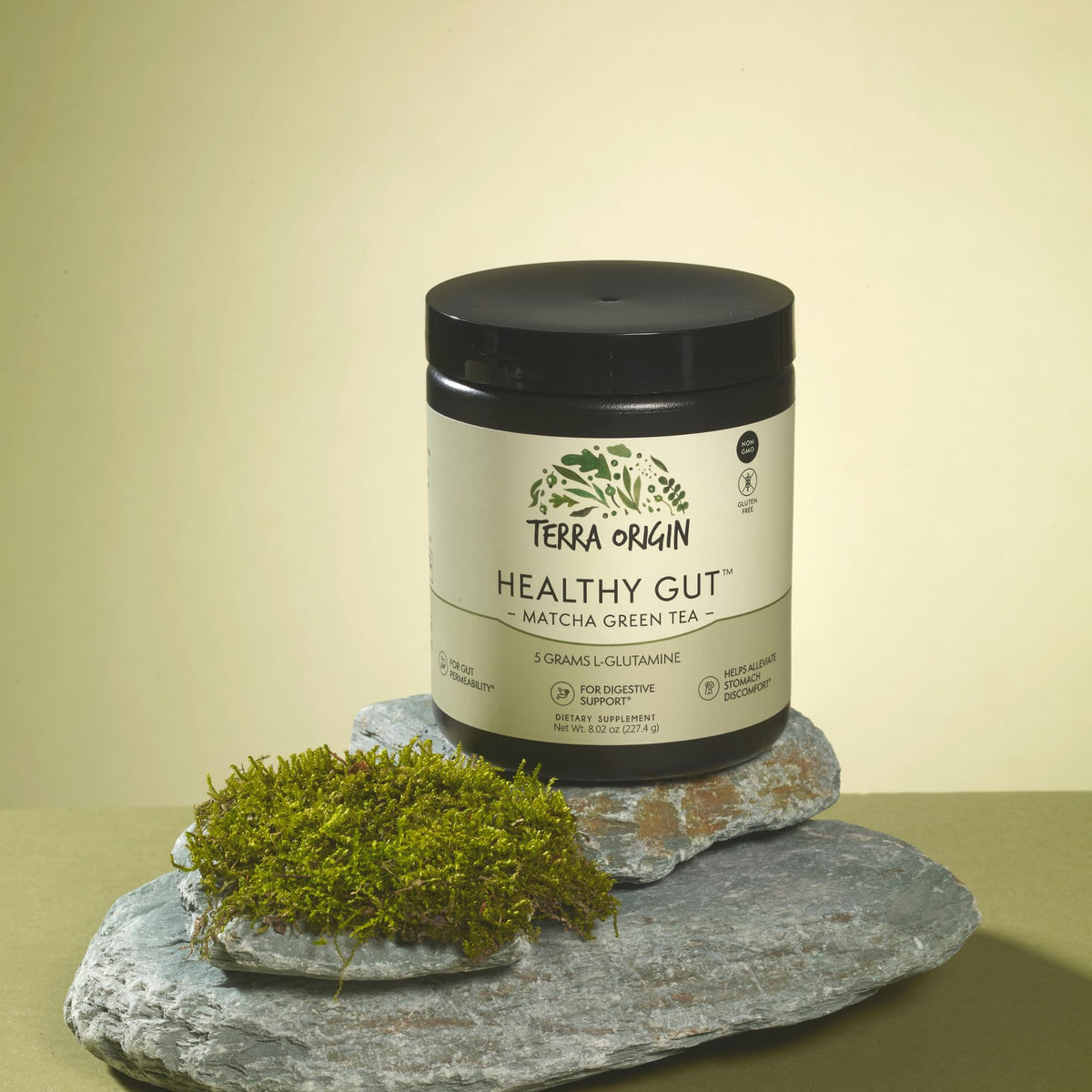 TERRA ORIGIN Healthy Gut Powder (Berry Flavor) |30-Servings with L-Glutamine, Zinc, Glucosamine, Slippery Elm Bark, Marshmallow Root and More!