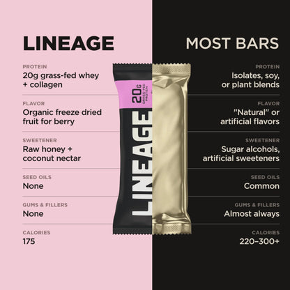 Lineage Provisions Chocolate Protein Bars, 12 Pack | 20g grass fed whey protein & collagen, gluten free, no seed oils, nothing artificial, with raw honey