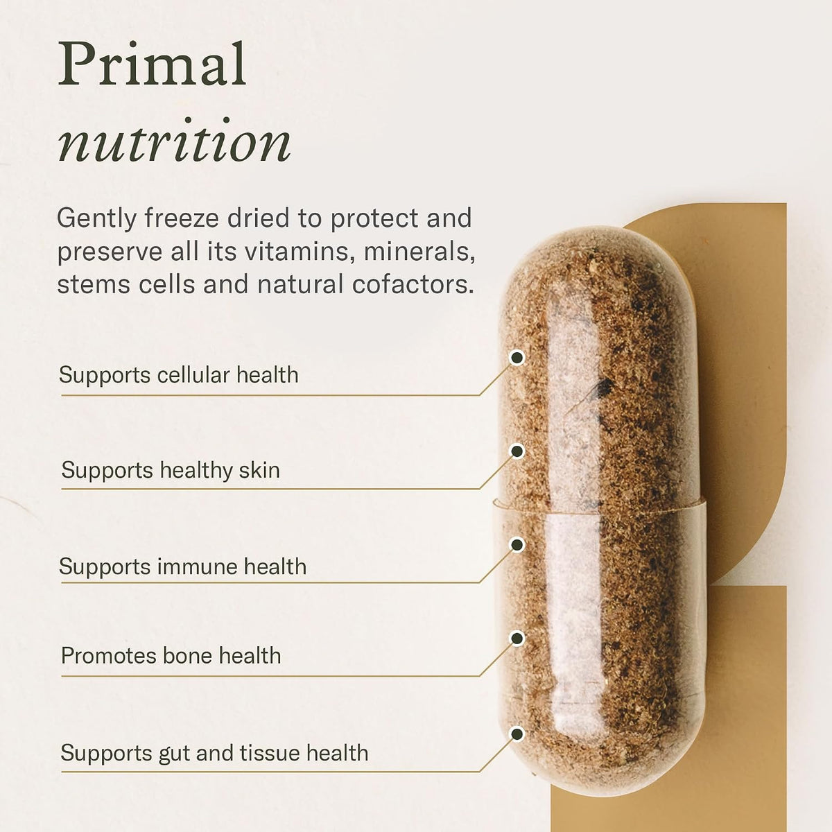 Enviromedica Grass-Fed Beef Bone Marrow Supplement, Collagen, 120 Ct | New Zealand beef bone marrow with MCHA, cartilage, collagen & vitamin K2. Freeze-dried whole-food supplement, 120 caps.