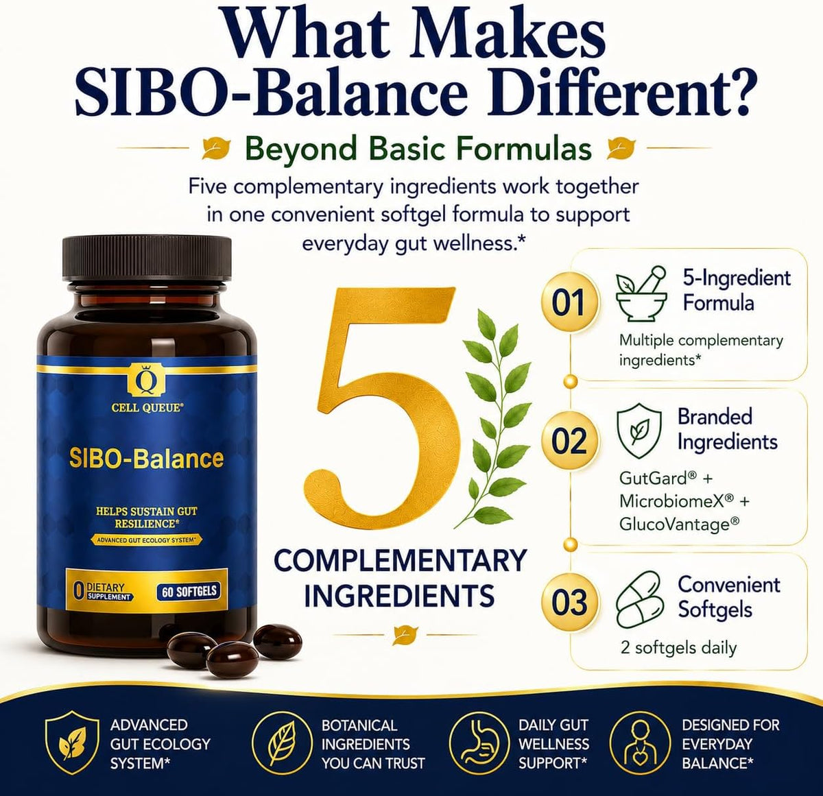SIBO-Balance Gut Health Supplement with Dihydroberberine 60 Softgels | with Oregano Oil, Ginger, GutGard® Licorice & MicrobiomeX® Citrus | Supports Gut Microbial Balance, Digestive Health
