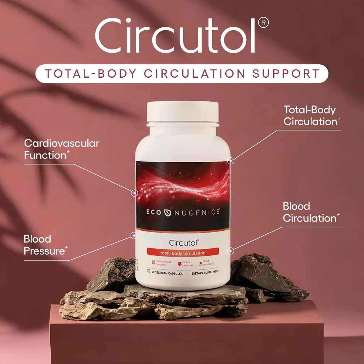 EcoNugenics Circutol: Heart & Blood Pressure Supplement with Nattokinase, L-Carnitine, Hawthorn Berry Extract, Cordyceps & Reishi Mushrooms – Healthy Blood Flow & Nitric Oxide Support – 60 Capsules