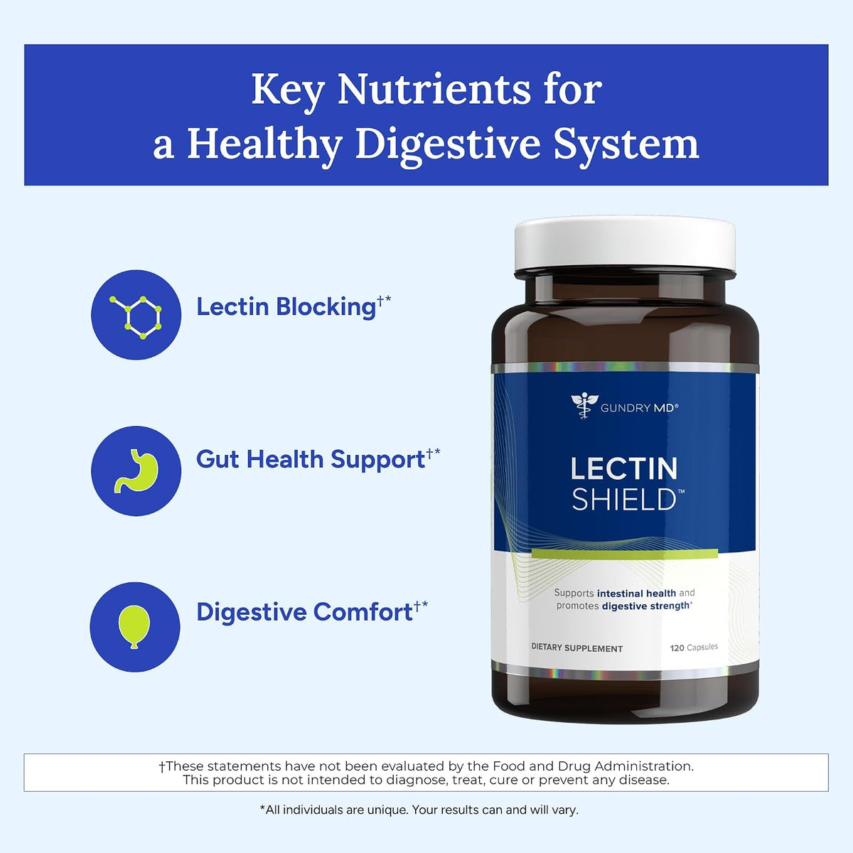 Gundry MD® Lectin Shield Gut Health & Digestion Supplement, 30 Servings | 30 Servings, Helps Block Potentially Harmful Lectins, Supports Digestive Comfort, Supports Intestinal Health, Reduce Cravings