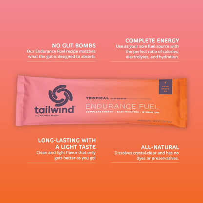 Tailwind Nutrition Endurance Fuel, Berry, 12 Servings
