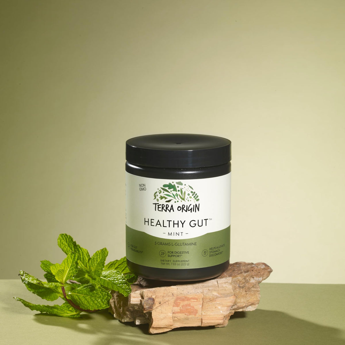 TERRA ORIGIN Healthy Gut Powder (Berry Flavor) |30-Servings with L-Glutamine, Zinc, Glucosamine, Slippery Elm Bark, Marshmallow Root and More!