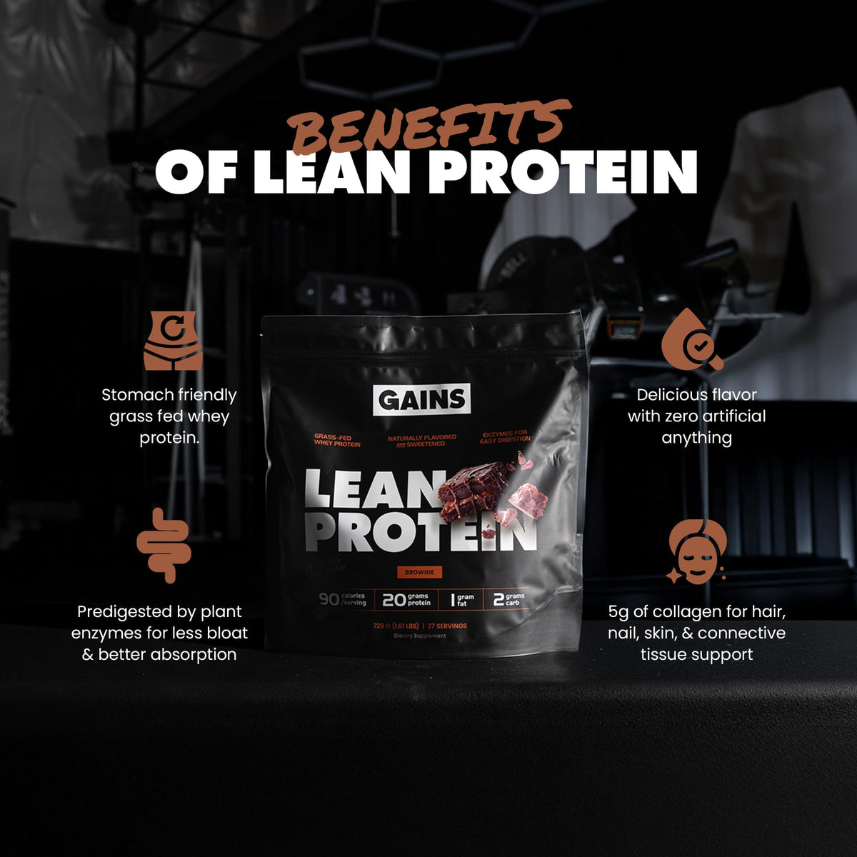 Gains in Bulk Lean Protein Powder with 20g Protein, Strawberry, 27 Servings