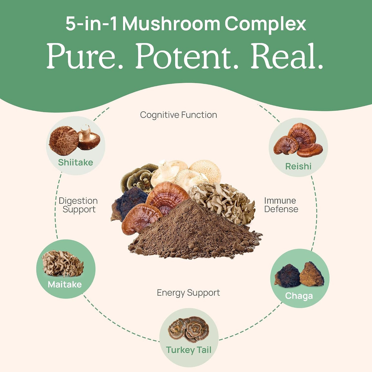 Real Mushrooms RealClarity (60ct) and 5 Defenders (90ct) Capsules Bundle - Mushroom Supplement for Mental Clarity, Focus & Immune Strength - Vegan, Non-GMO, Verified Levels of Beta-Glucans