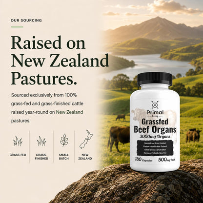 Primal Being Grassfed Beef Organ Complex - Liver, Heart, Pancreas, Spleen, & Kidney- Supports Overall Health & Performance - 180 Capsules, 3000mg per Serving