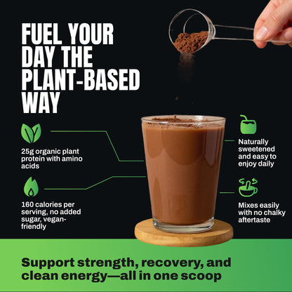 VEDGE Vanilla Protein Powder, USDA Organic Plant Based, 20 Servings | Plant Based Protein Powder, From Pea, Pumpkin, And Sunflower With Smooth Texture For Shakes, Smoothies, Vegan, And Baking