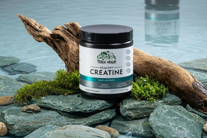 TERRA ORIGIN Healthy Creatine Micronized Monohydrate Powder | 30 Stick Packs | Support for Muscle and Cognitive Performance* | Supplement for Women and Men | Unflavored, Gluten Free, Zero Sugar