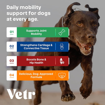 Vetr Hip and Joint Chicken Flavored Chews for Dogs - Glucosamine Chondroitin MSM Supplement - 120 Chewable Tablets - Vet-Formulated in USA