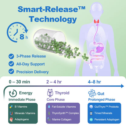 Thyroid Support Supplement for Women 120 Capsules - Smart-Release Micro-Beads with ThyroSynth™ & GutThyro™ - Advanced Thyroid Complex, Ashwagandha, Marine Collagen & 20B CFU Probiotics - 1 Bottle