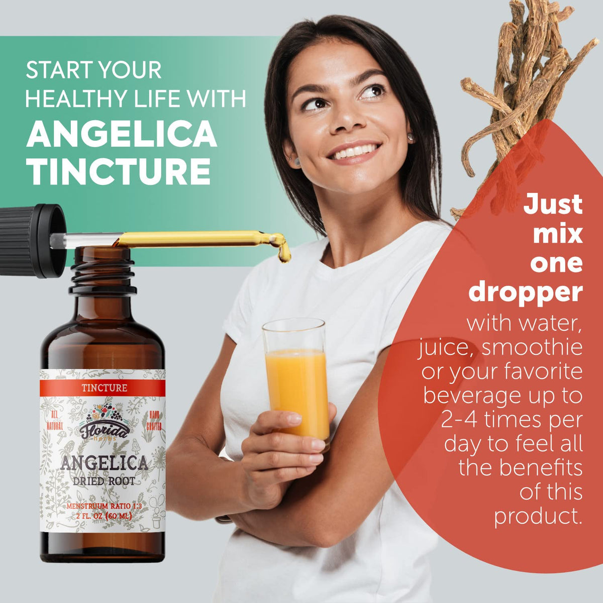 Angelica Tincture, Organic Angelica Extract (Angelica archangelica) Dried Root Herbal Supplement, Non-GMO in Cold-Pressed Organic Vegetable Glycerin, 700 mg, 2 oz (60 ml)