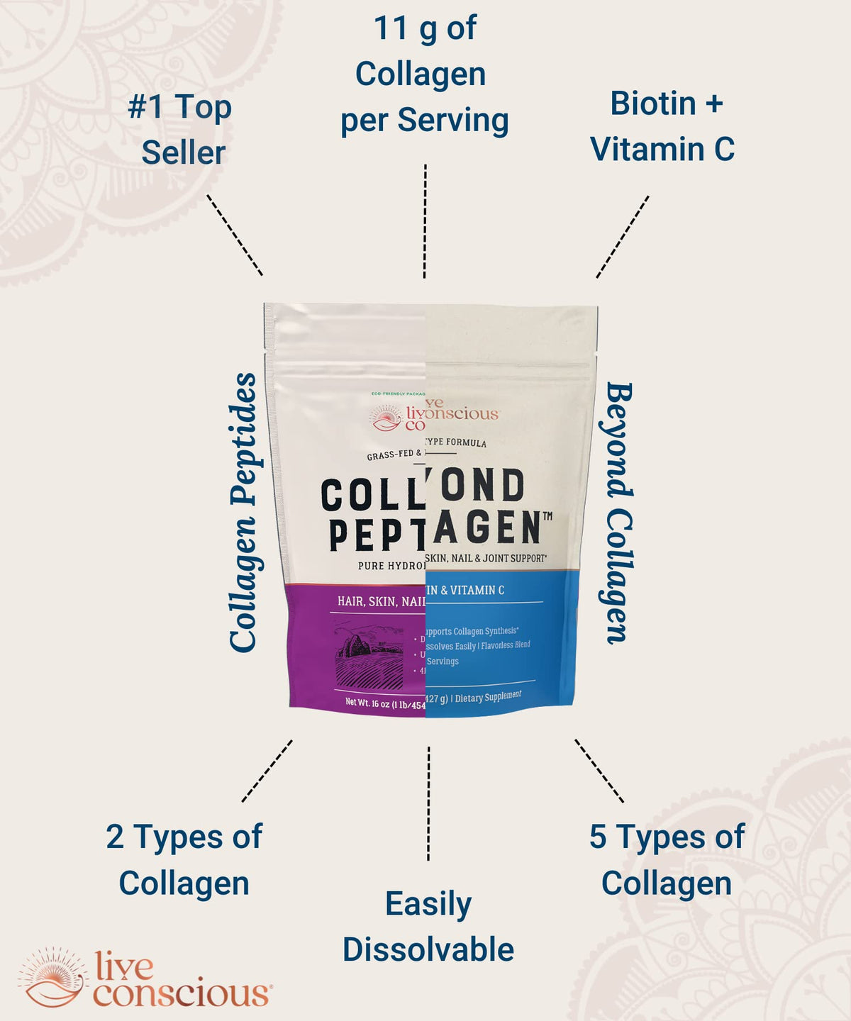 Live Conscious Collagen Powder Hydrolyzed Collagen Peptides Type I & III - Keto & Paleo Friendly - Unflavored - 20 Servings, 7.8 oz
