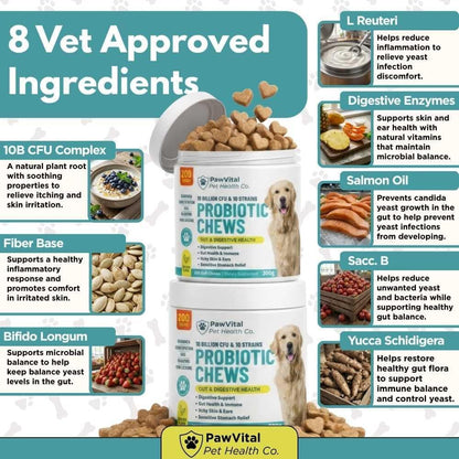 Dog Probiotic Chews for Digestive Health – Probiotics for Dogs with 10 Billion CFU, Prebiotics, Digestive Enzymes – Gut Health, Yeast, Itchy Skin & Itchy Ears – Diarrhea & Constipation – 200 Chews
