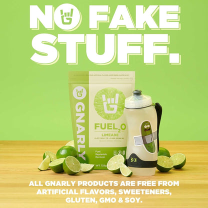 Gnarly Nutrition Fuel2O Electrolyte Powder, Limeade – NSF Sport Certified – Electrolyte Solution, Fuel, Replenishment, and Recovery – Fuel2O Endurance Nutrition – Limeade, 25.57 oz