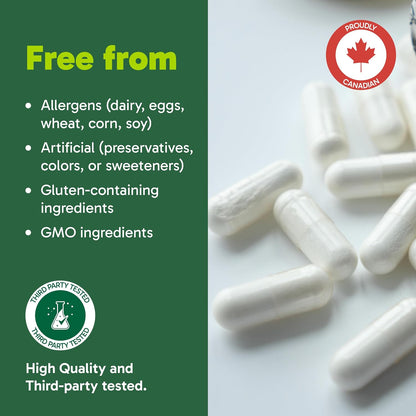 Organika L-Theanine Supplement 8 oz - 90 Capsules: 90 Day Supply of Clean Bioavailable L Theanine for Relaxation, Balance, and Calm - Easy-to-Swallow Single Capsule Servings
