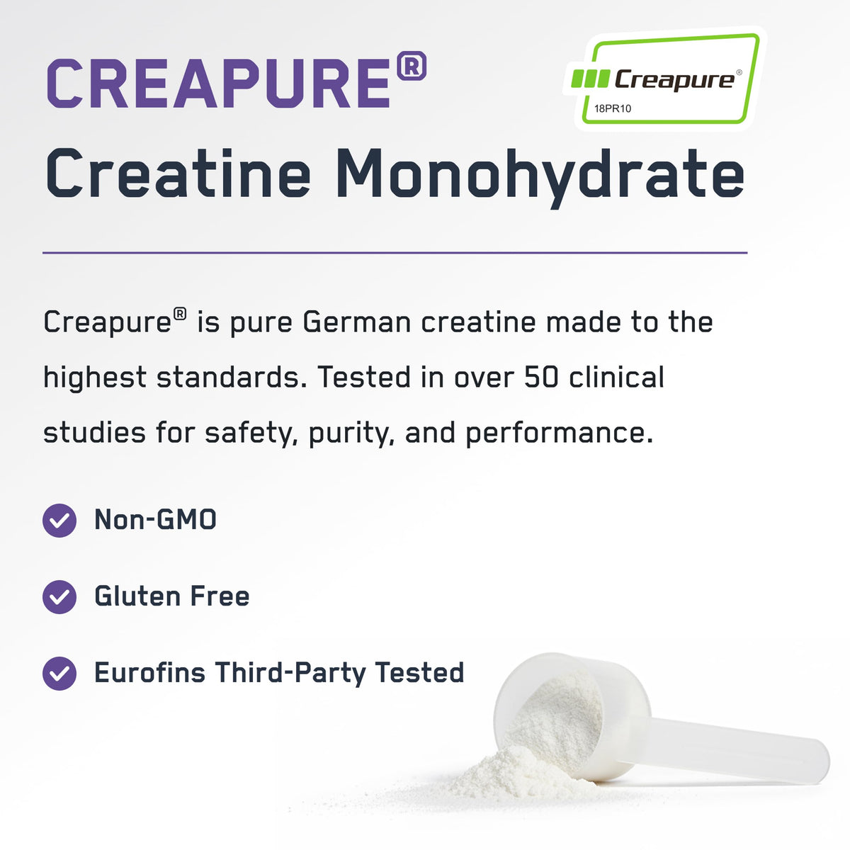 SteelFit Creapure Creatine Monohydrate Powder, Unflavored, 100 Servings | German Creatine Powder for Men, Women - Gym Workout Nutritional Supplements for Muscle Gain, Brain Health & Strength Building