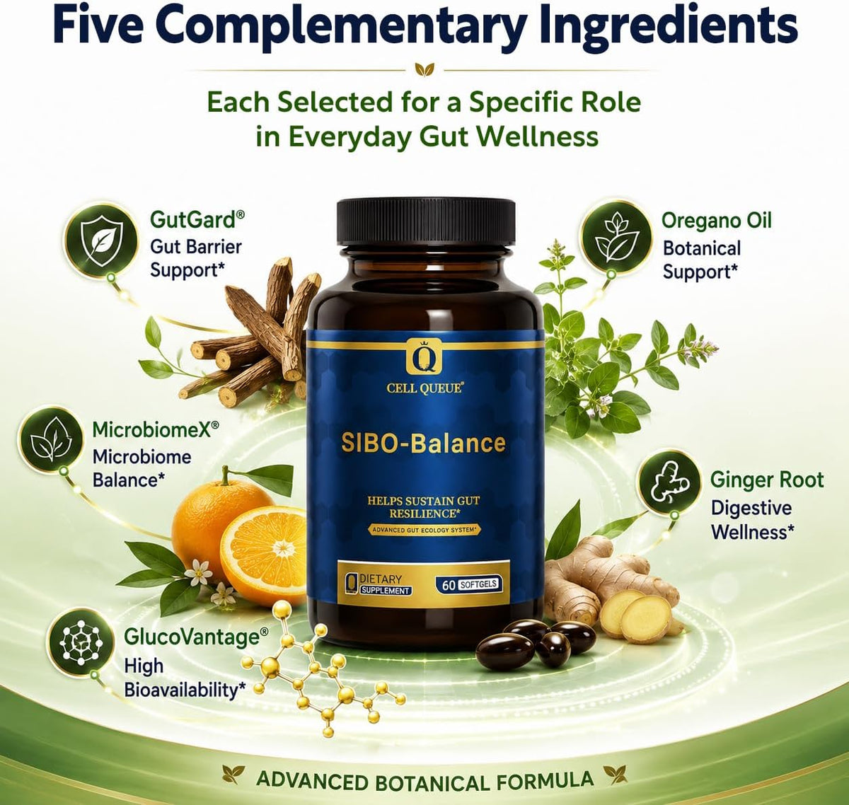 SIBO-Balance Gut Health Supplement with Dihydroberberine 60 Softgels | with Oregano Oil, Ginger, GutGard® Licorice & MicrobiomeX® Citrus | Supports Gut Microbial Balance, Digestive Health