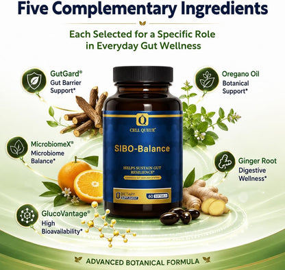 SIBO-Balance Gut Health Supplement with Dihydroberberine 60 Softgels | with Oregano Oil, Ginger, GutGard® Licorice & MicrobiomeX® Citrus | Supports Gut Microbial Balance, Digestive Health