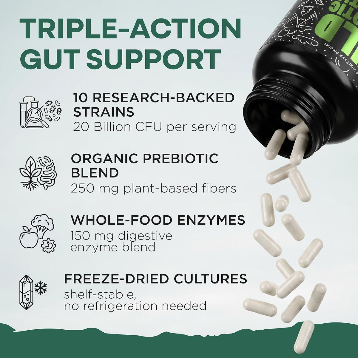 Wild Prebiotics and Probiotics with Digestive Enzymes | 20 Billion CFU - 10 Strains for Women & Men | Support Gut Health & Digestion Supplements | Non-GMO Prebiotic Fiber | 30 Count (Pack of 2)