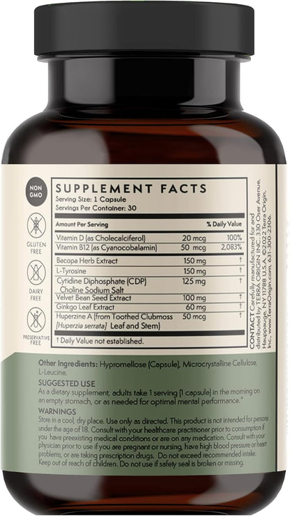 TERRA ORIGIN Healthy Mind and Memory Support Supplement | Cognitive Memory Matrix | Nootropic CDP, Bacopa, L-Tyrosine, Huperzine A, Ginko, B12 | Non GMO, Gluten Free, Dairy Free | 30 Capsules