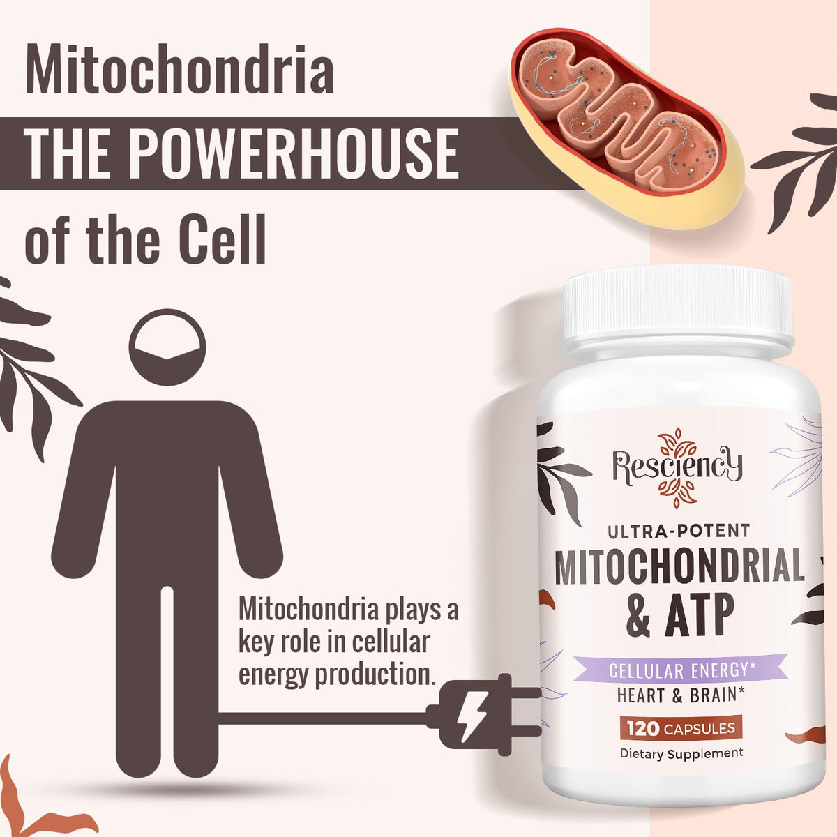 2326 MG Mitochondrial Supplements with ATP, Vitamins, CoQ10 & PQQ, More Effective Than Creatine HMB & Nitric Oxide, Energy, Endurance, Strength, Recovery & Muscle, Organic, 120 Capsules