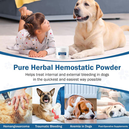 Quick Stop Bleeding for Dogs, Natural Yunnan Sanqi & Herbal Powder | Supports Internal Bleeding, Hemangiosarcoma, Bloody Stools, Post-Surgical Recovery, Ulcers, Severe Bruising, 60g